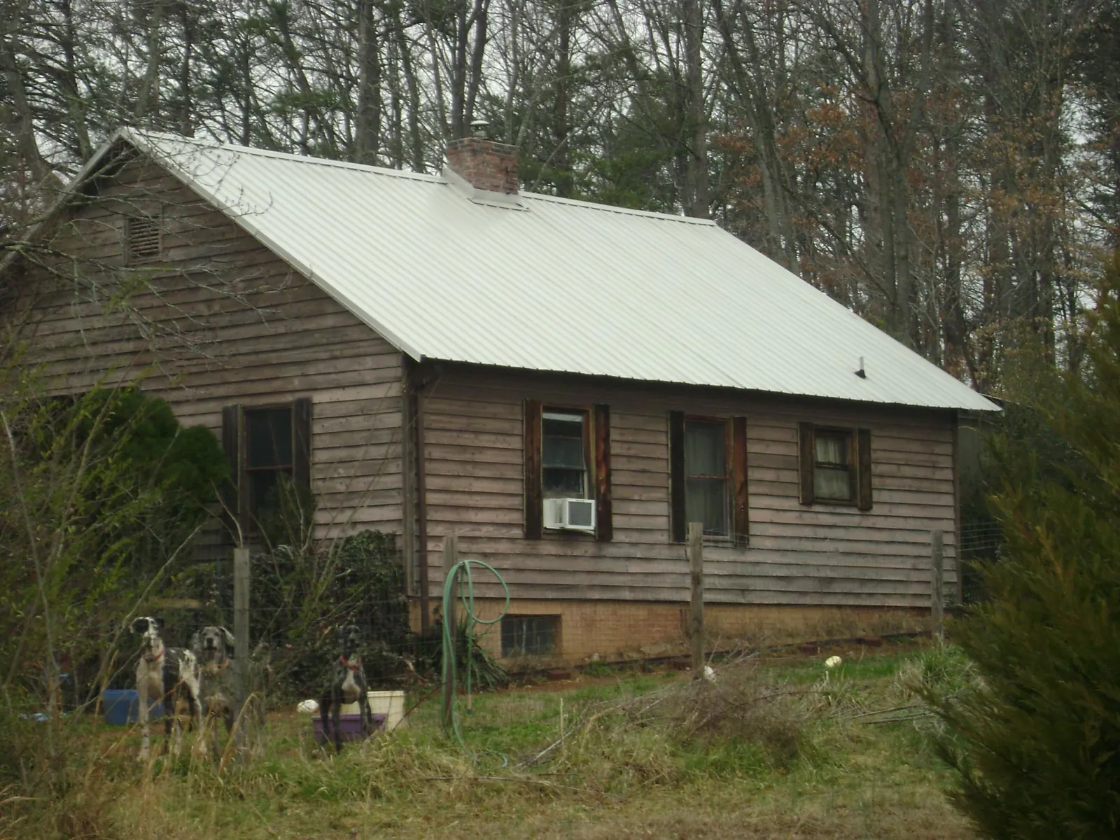 White metal roof on an old wood sided farmhouse, from a Asphalt Shingle Roof Repair job in Gainesville